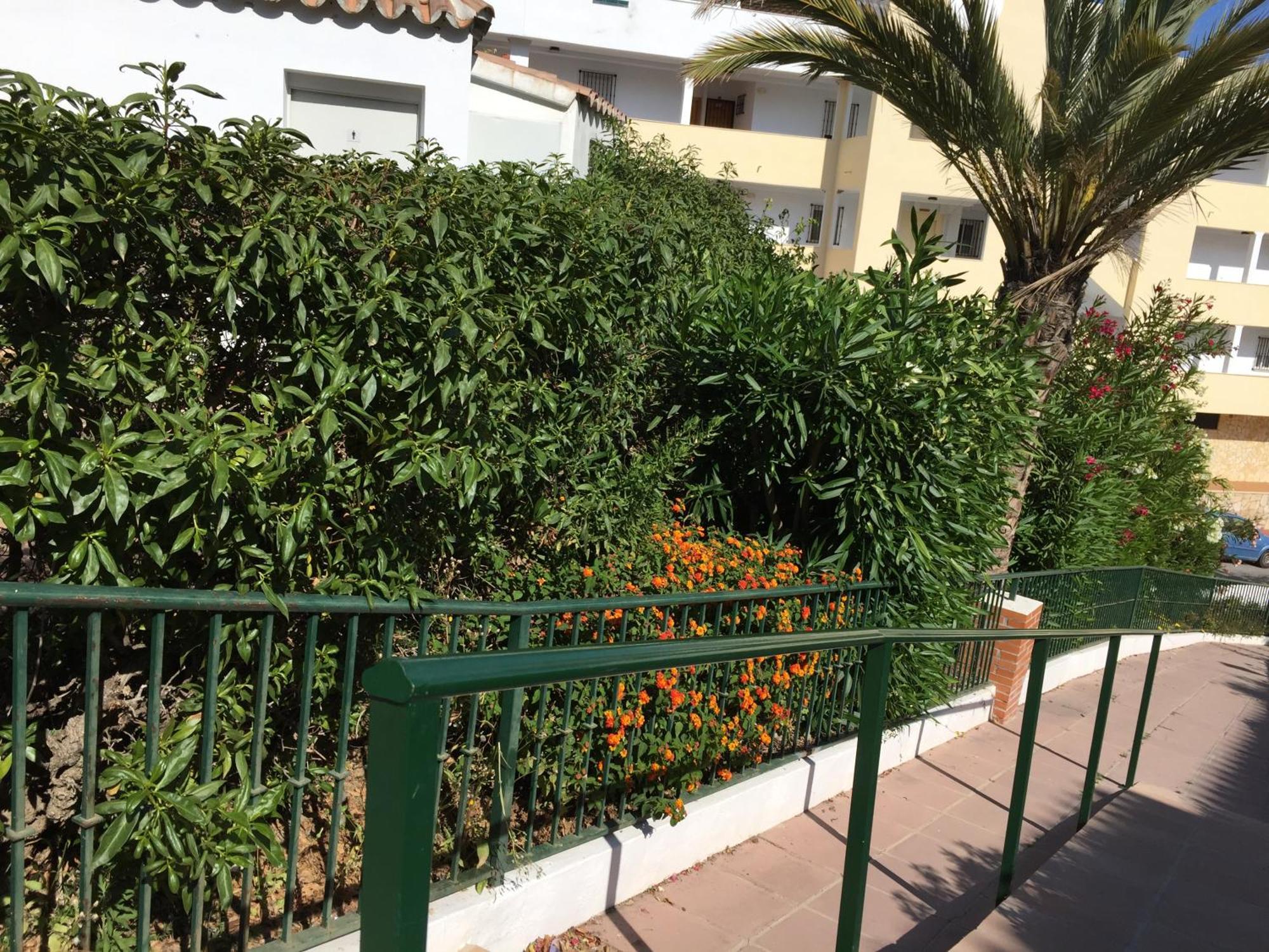Ferienwohnung Stella Blanca 24B Fuengirola Exterior foto